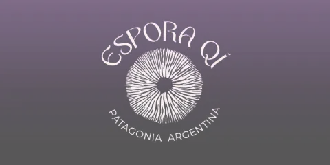 Espora Qí — Identidad visual y sitio web