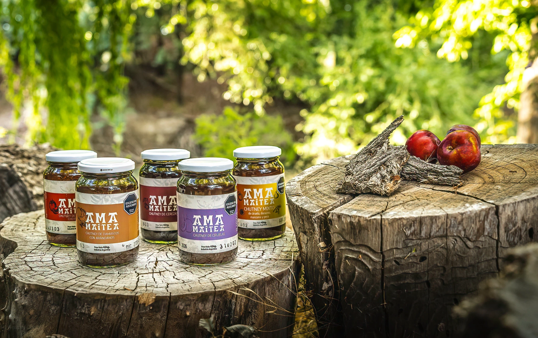 Ama Maitea — familia completa de productos