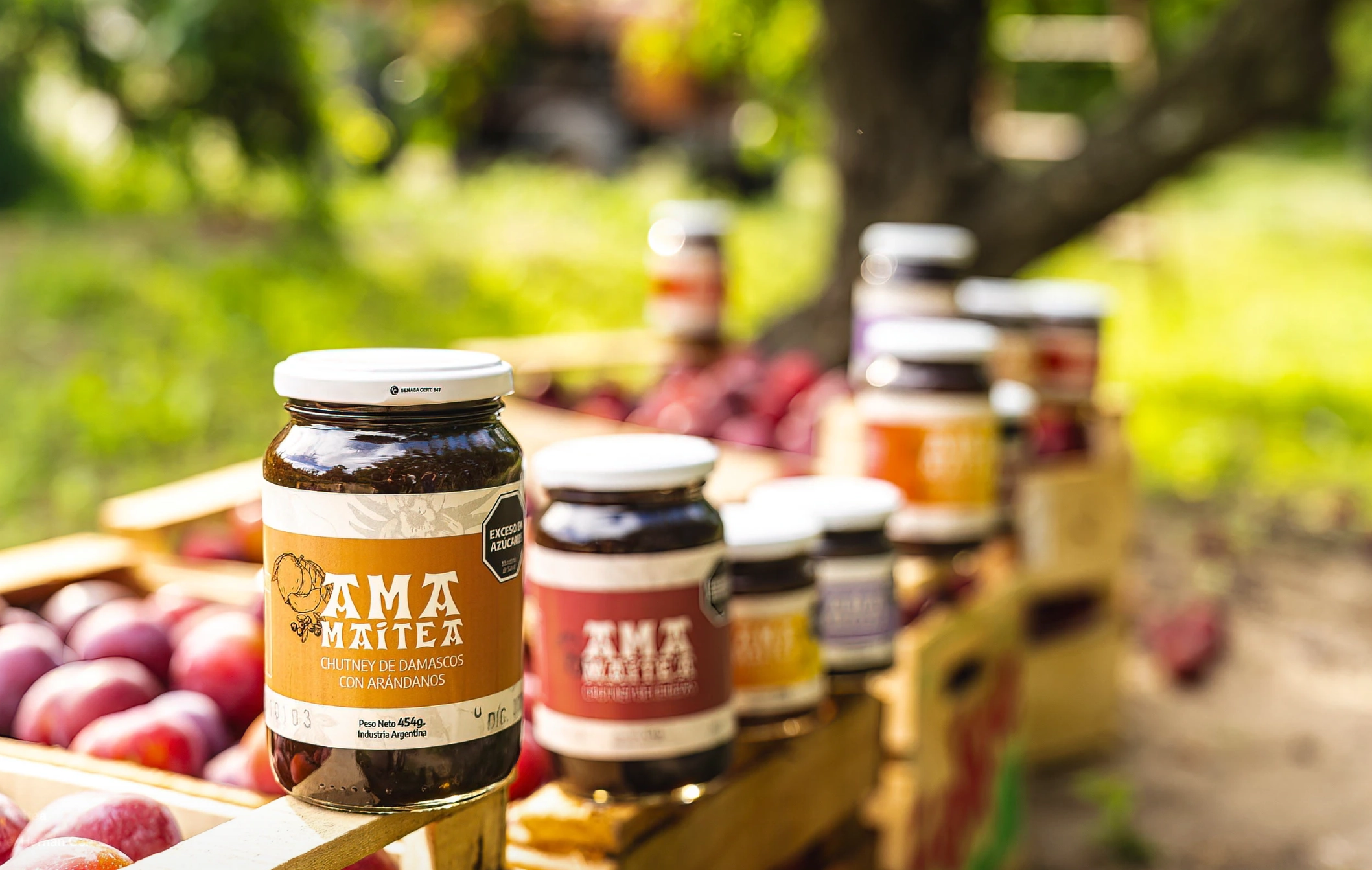 Ama Maitea — variedad damascos con arándanos