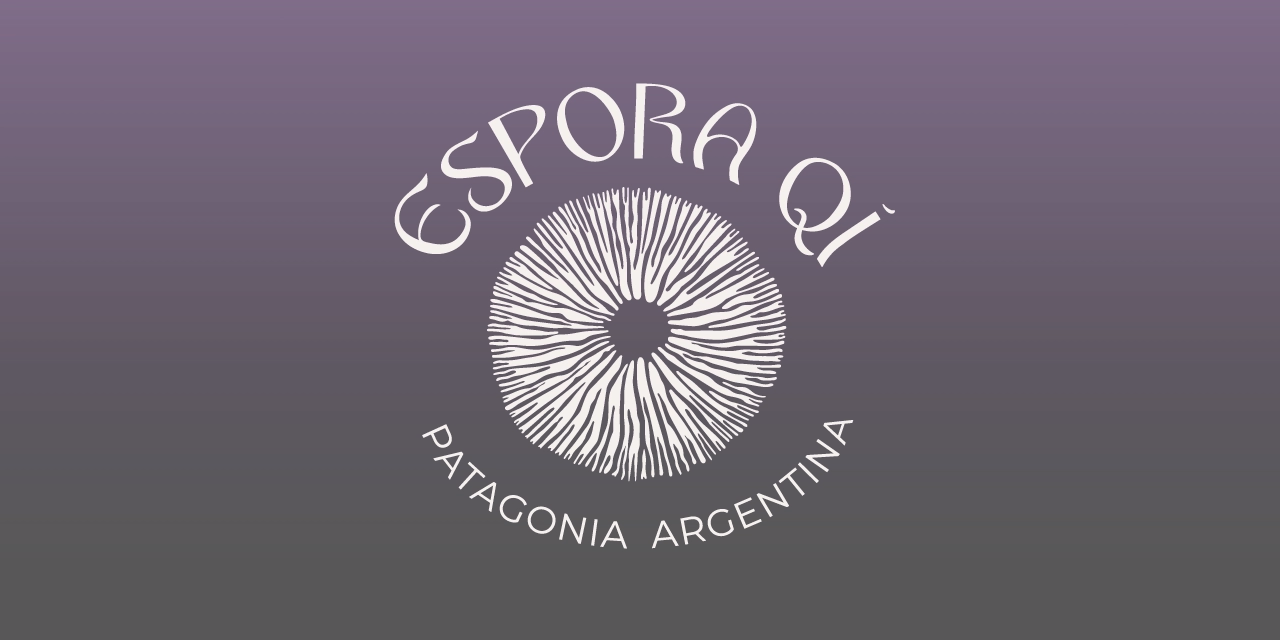 Espora Qí — Identidad visual y sitio web